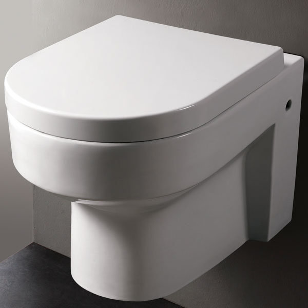 EAGO Modern Dual Flush Elongated Toilet Bowl & Reviews Wayfair